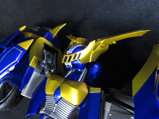 S.H.フィギュアーツ　ダークレイダー　レビュー レビュー 