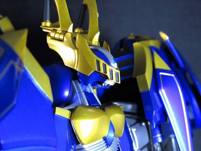 S.H.フィギュアーツ　ダークレイダー　レビュー レビュー 