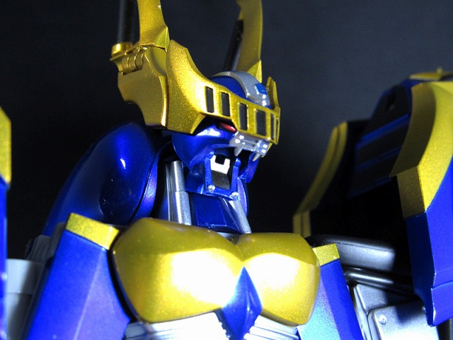 S.H.フィギュアーツ　ダークレイダー　レビュー レビュー 