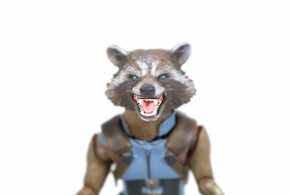 S.H.フィギュアーツ　ロケット＆ベビー・グルート　ガーディアンズ・オブ・ギャラクシー リミックス　vol.2　レビュー　付属品