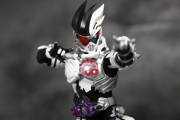 S.H.フィギュアーツ 仮面ライダーゲンム ゾンビゲーマー レベルX レビュー