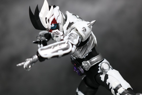 S.H.フィギュアーツ 仮面ライダーゲンム ゾンビゲーマー レベルX レビュー