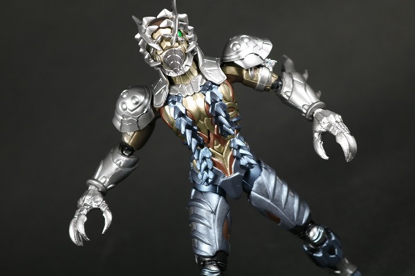 S.H.フィギュアーツ　モグラアマゾン　レビュー　アクション