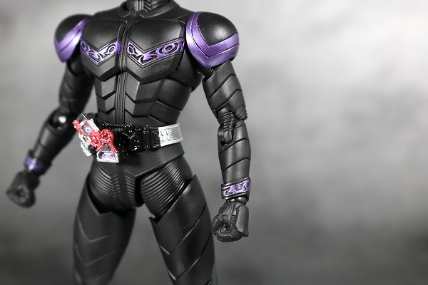 S.H.フィギュアーツ　仮面ライダージョーカー　真骨彫製法　レビュー　全身