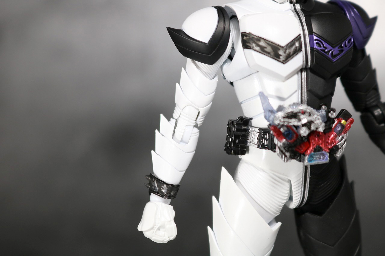 S.H.フィギュアーツ　仮面ライダーW　ファングジョーカー　真骨彫製法　レビュー　全身