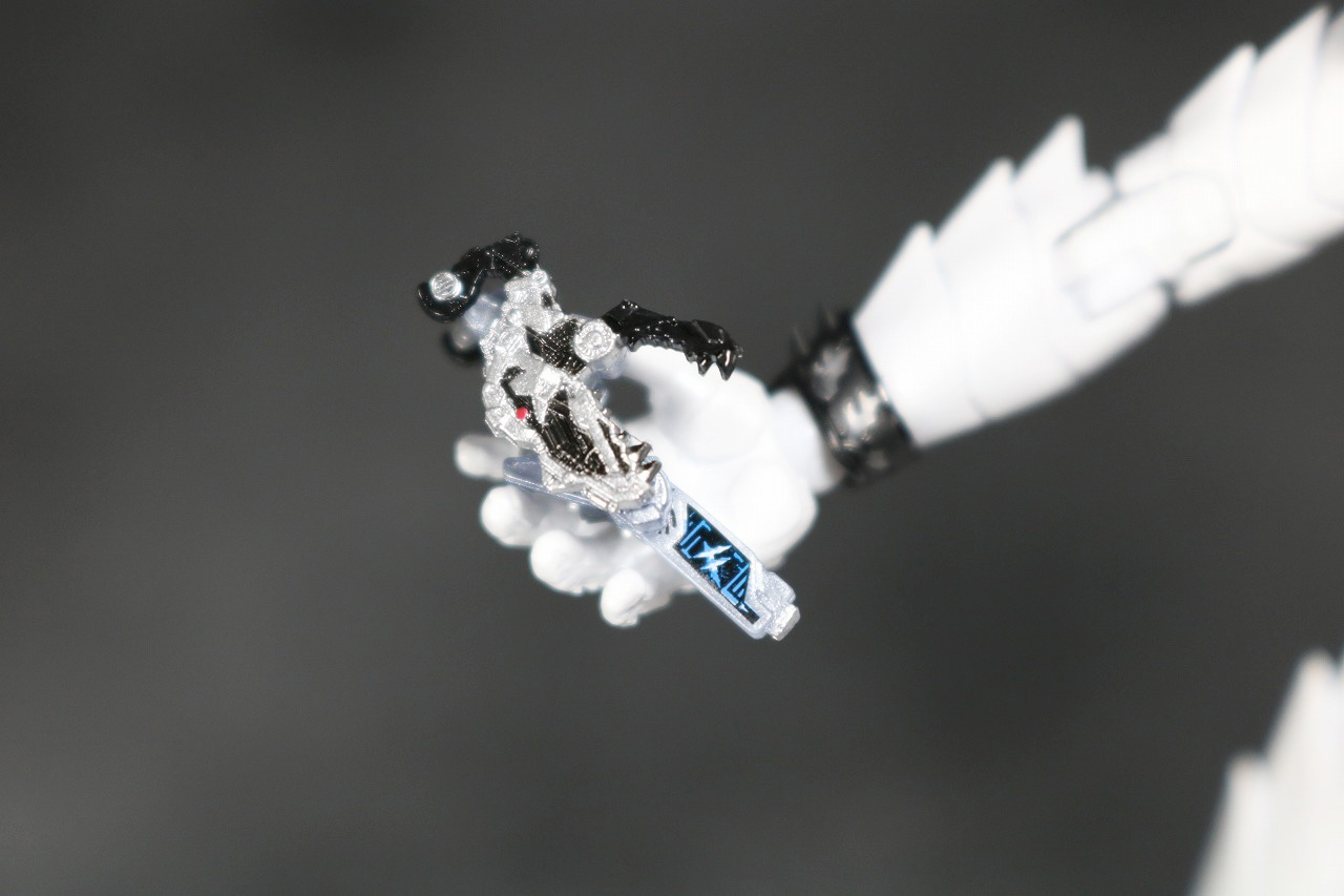 S.H.フィギュアーツ　仮面ライダーW　ファングジョーカー　真骨彫製法　レビュー　全身