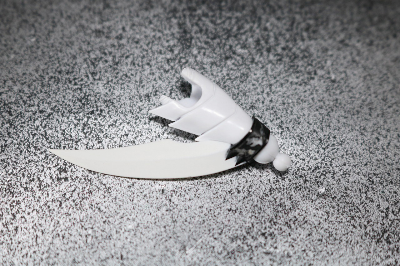 S.H.フィギュアーツ　仮面ライダーW　ファングジョーカー　真骨彫製法　レビュー　付属品