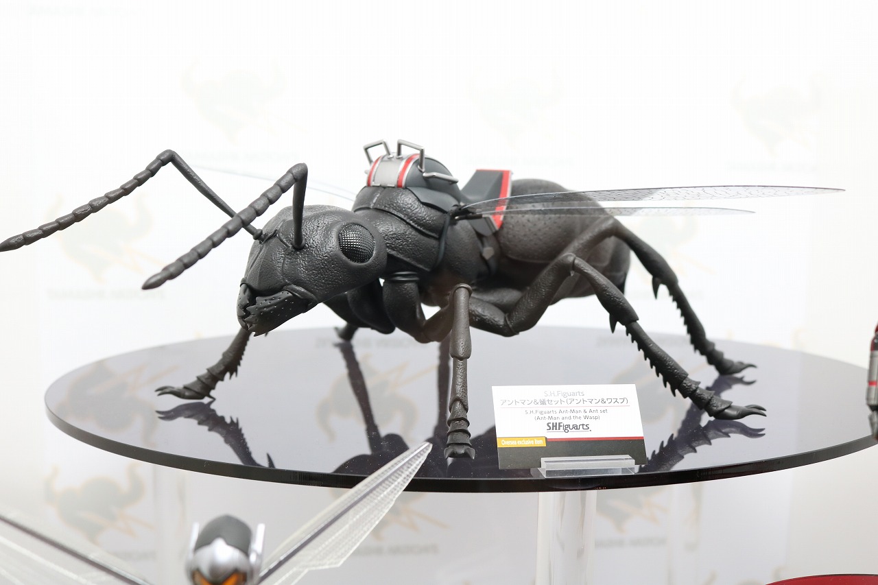 S.H.フィギュアーツ　アントマン　アントマン＆ワスプ　レビュー　付属品