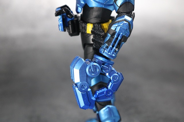 S.H.フィギュアーツ　仮面ライダーグリスブリザード　レビュー　全身