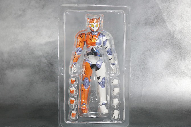 S.H.フィギュアーツ　仮面ライダーバルキリー　ラッシングチーター　レビュー　パッケージ