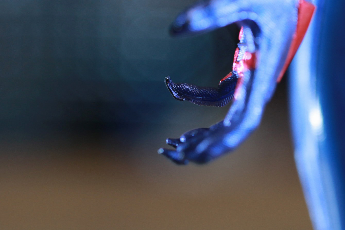 ホットトイズ　ビデオゲームマスターピース　スパイダーマン2099　レビュー　本体