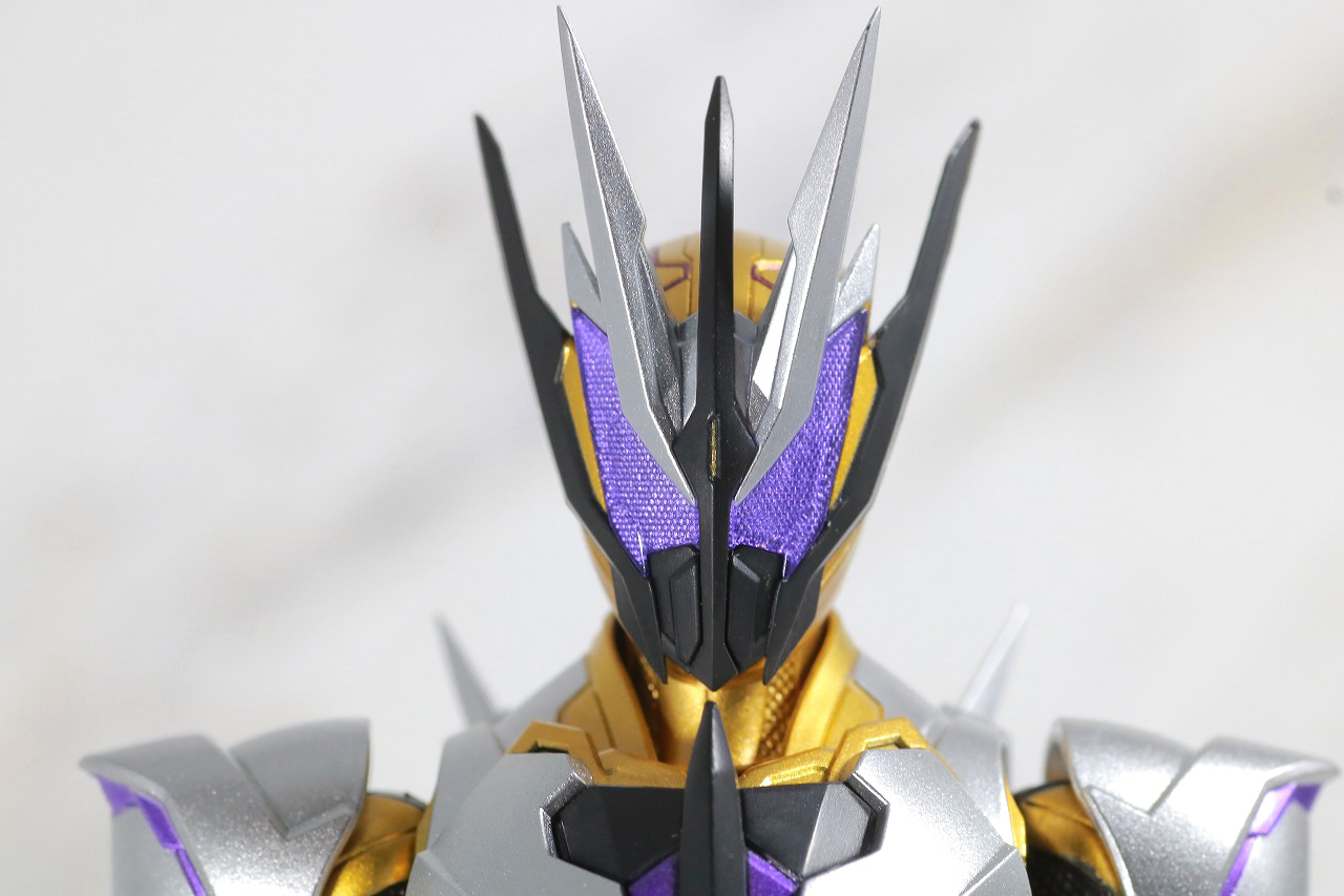 S.H.フィギュアーツ　仮面ライダーサウザー　レビュー　本体