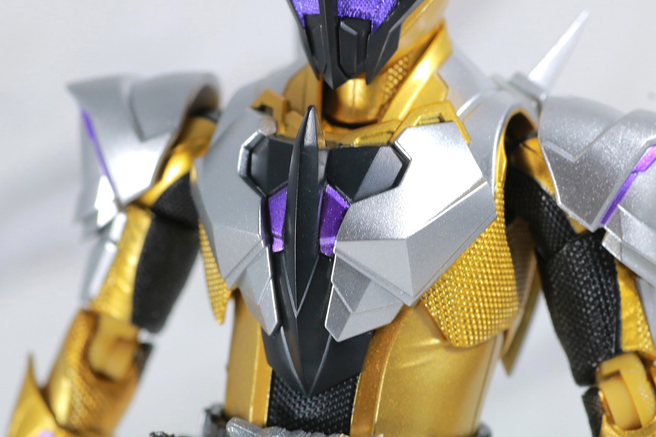 S.H.フィギュアーツ　仮面ライダーサウザー　レビュー　本体