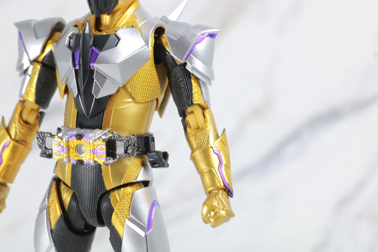 S.H.フィギュアーツ　仮面ライダーサウザー　レビュー　本体