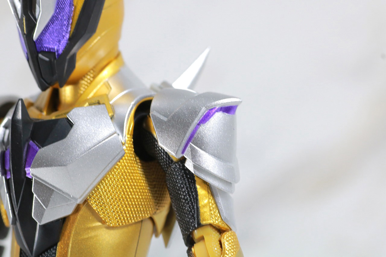 S.H.フィギュアーツ　仮面ライダーサウザー　レビュー　本体