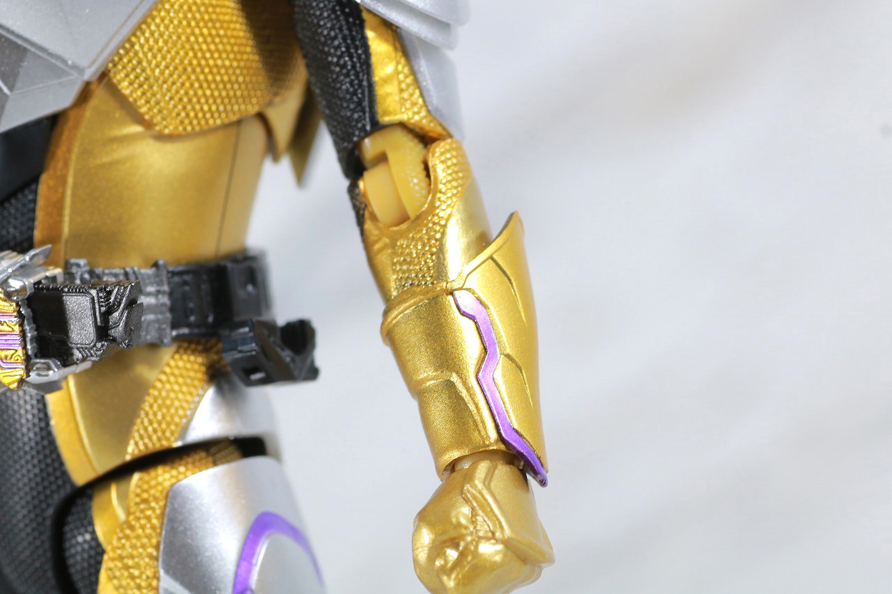 S.H.フィギュアーツ　仮面ライダーサウザー　レビュー　本体