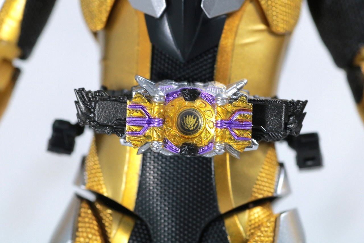 S.H.フィギュアーツ　仮面ライダーサウザー　レビュー　本体