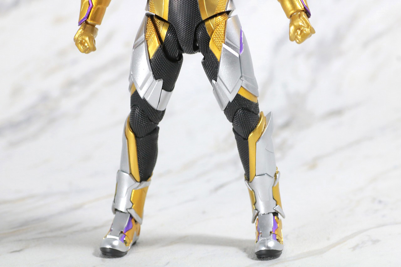 S.H.フィギュアーツ　仮面ライダーサウザー　レビュー　本体