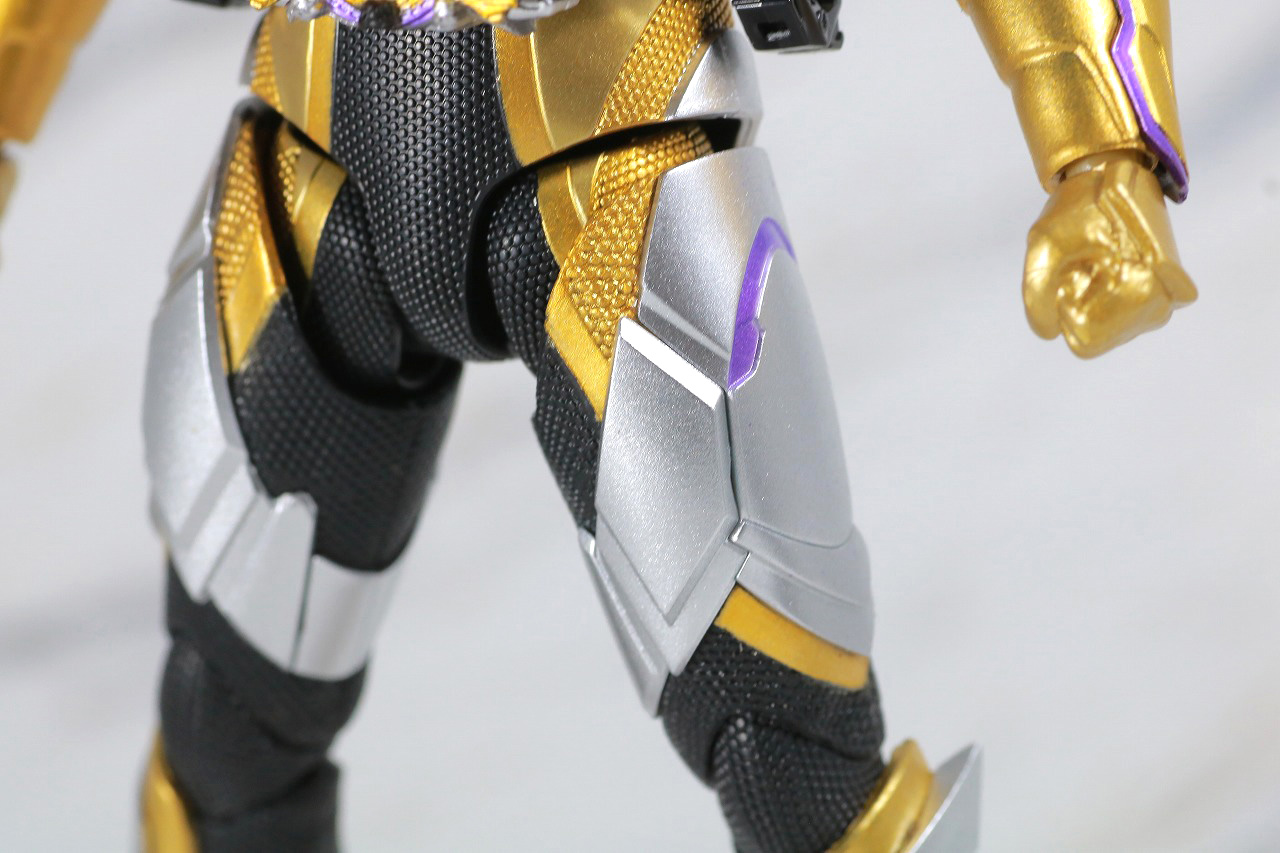 S.H.フィギュアーツ　仮面ライダーサウザー　レビュー　本体