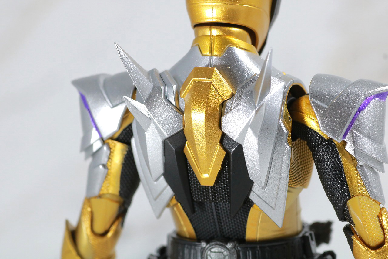 S.H.フィギュアーツ　仮面ライダーサウザー　レビュー　本体