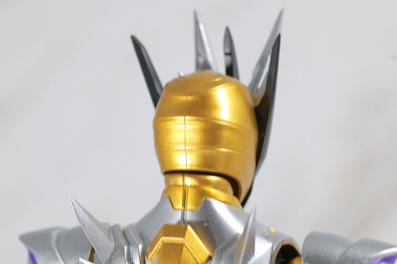 S.H.フィギュアーツ　仮面ライダーサウザー　レビュー　本体