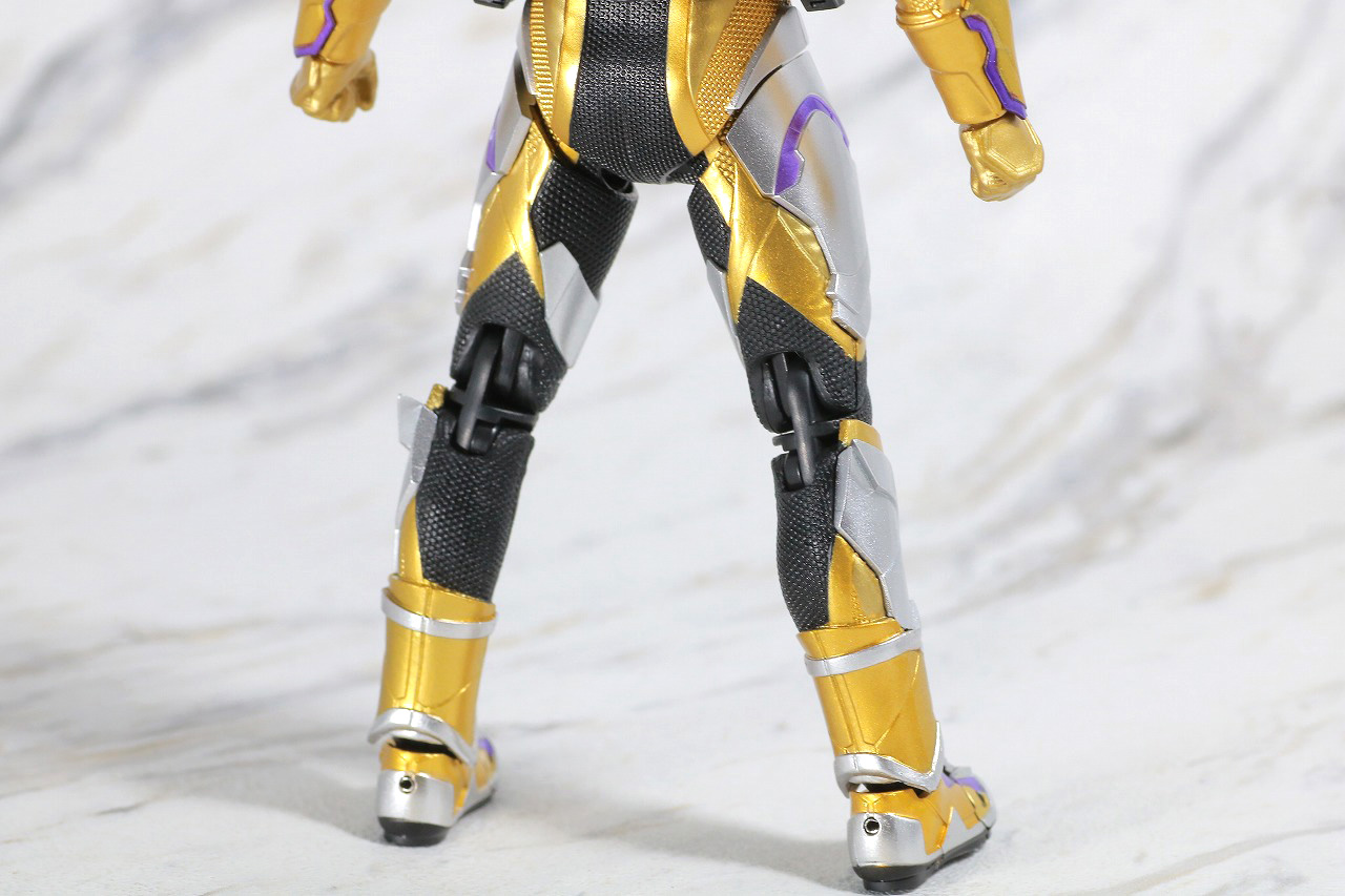 S.H.フィギュアーツ　仮面ライダーサウザー　レビュー　本体