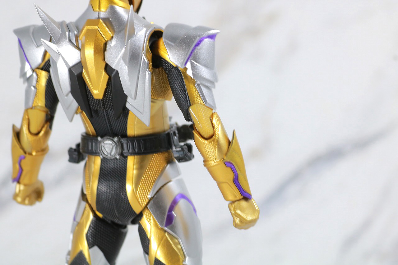 S.H.フィギュアーツ　仮面ライダーサウザー　レビュー　本体