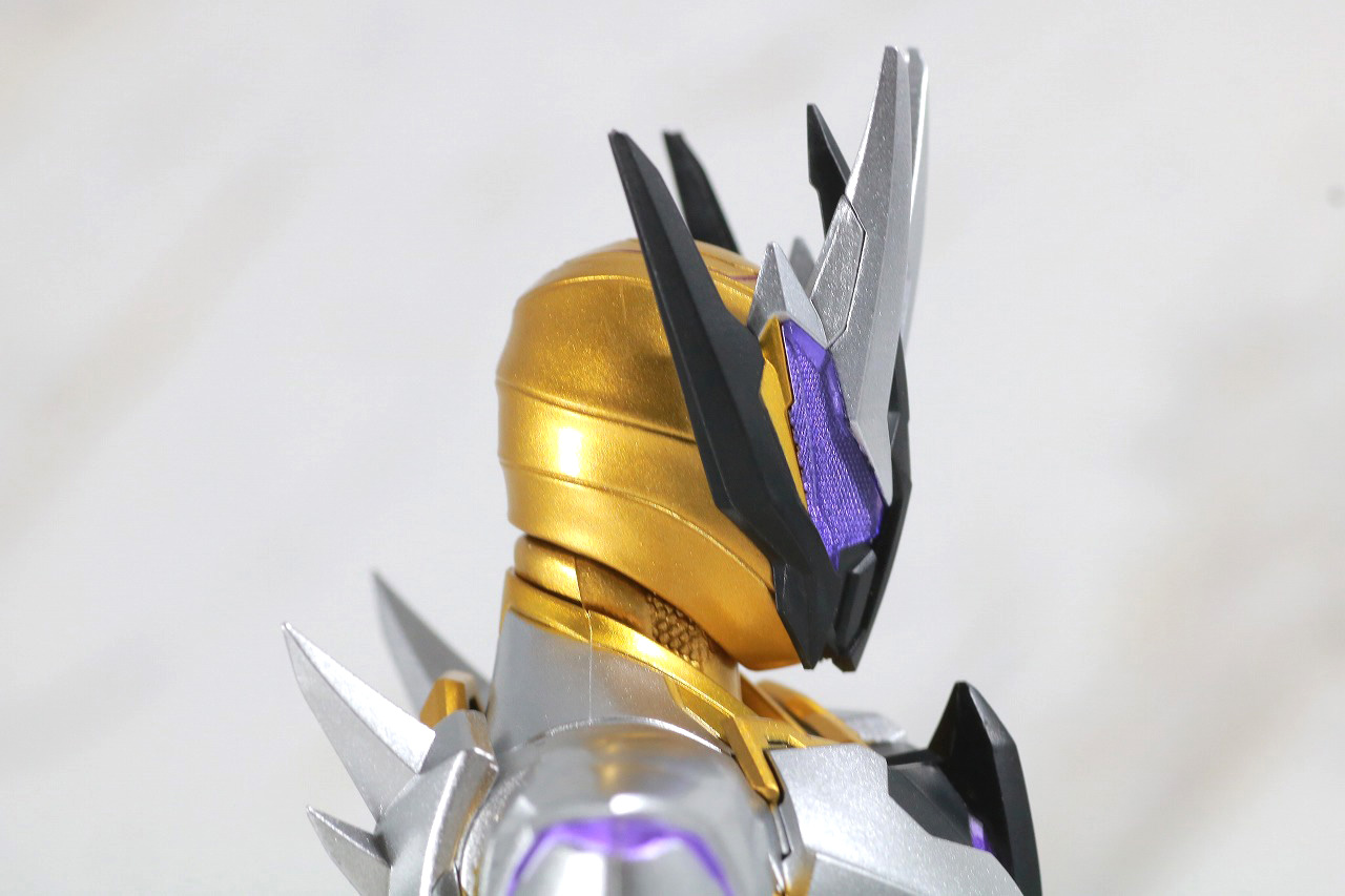 S.H.フィギュアーツ　仮面ライダーサウザー　レビュー　本体