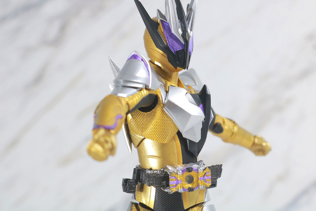 S.H.フィギュアーツ　仮面ライダーサウザー　レビュー　可動範囲