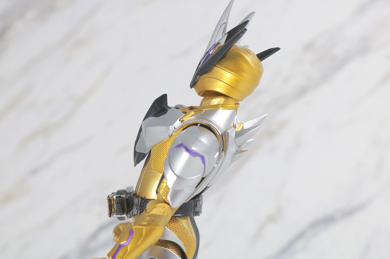 S.H.フィギュアーツ　仮面ライダーサウザー　レビュー　可動範囲