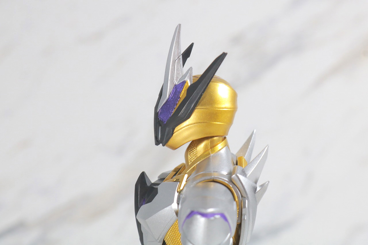 S.H.フィギュアーツ　仮面ライダーサウザー　レビュー　可動範囲