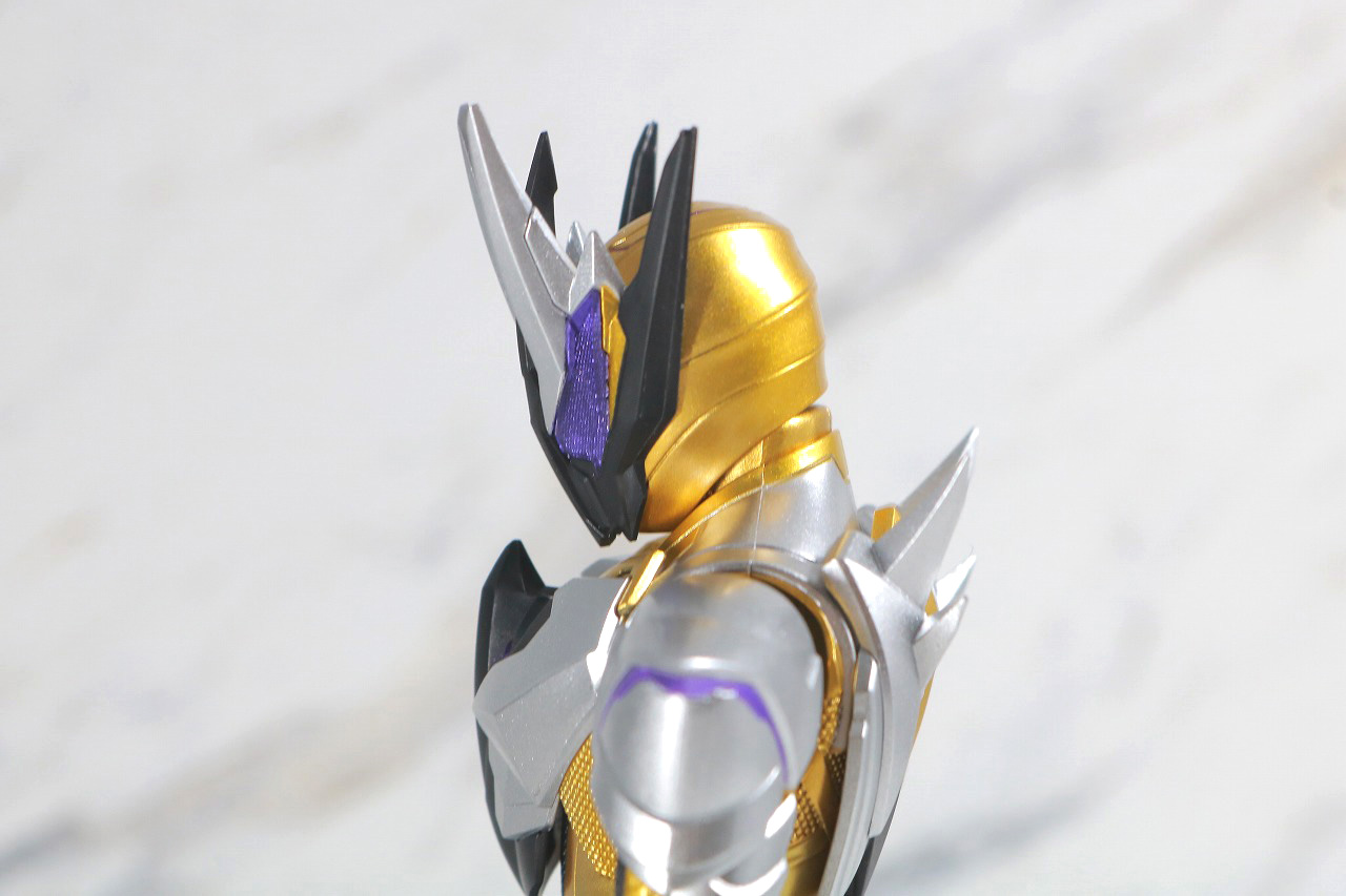 S.H.フィギュアーツ　仮面ライダーサウザー　レビュー　可動範囲