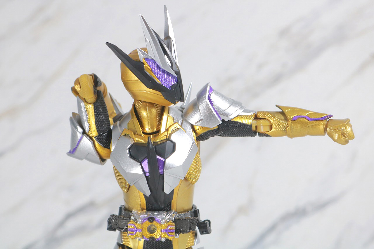 S.H.フィギュアーツ　仮面ライダーサウザー　レビュー　可動範囲