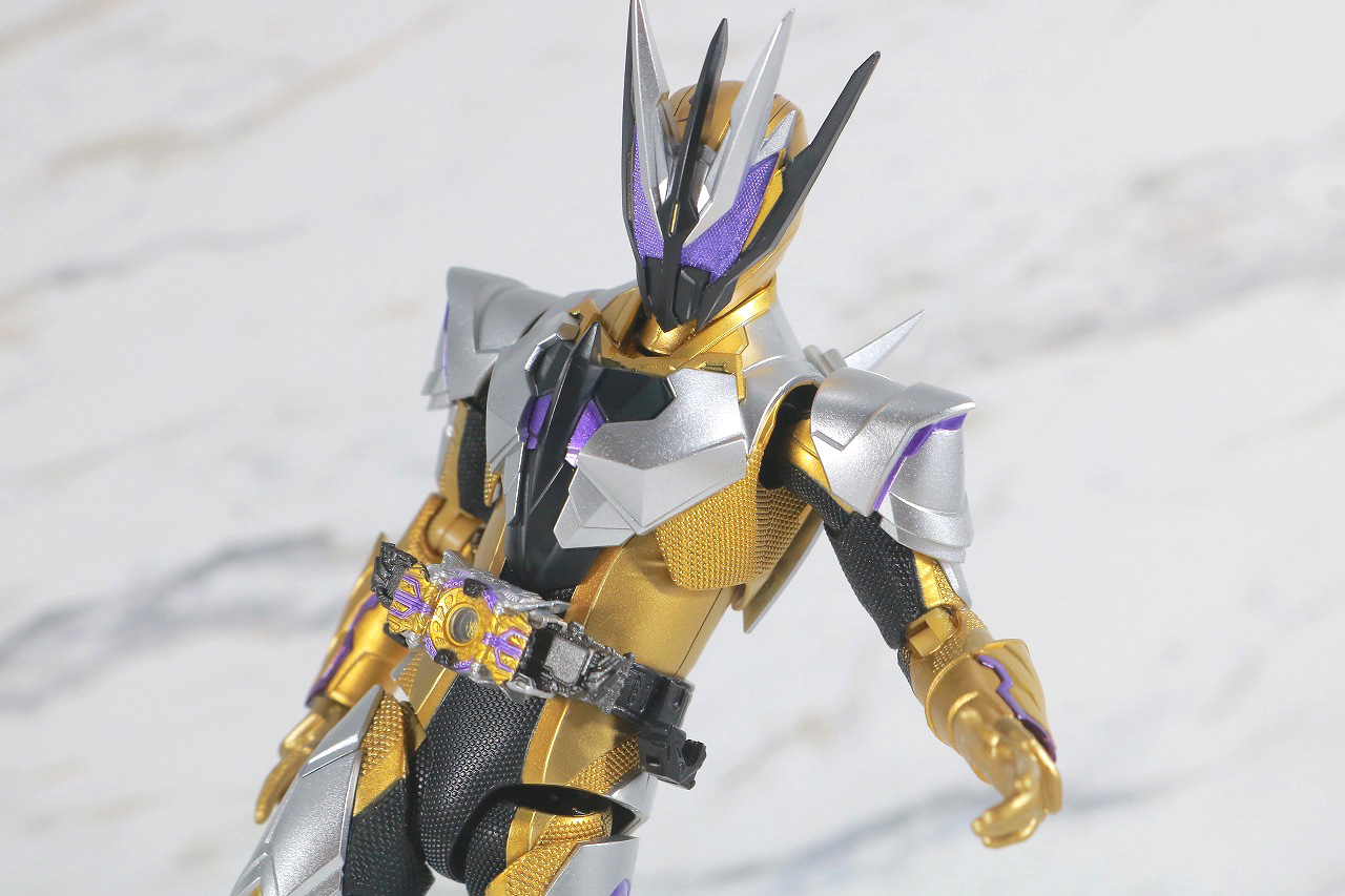 S.H.フィギュアーツ　仮面ライダーサウザー　レビュー　アクション