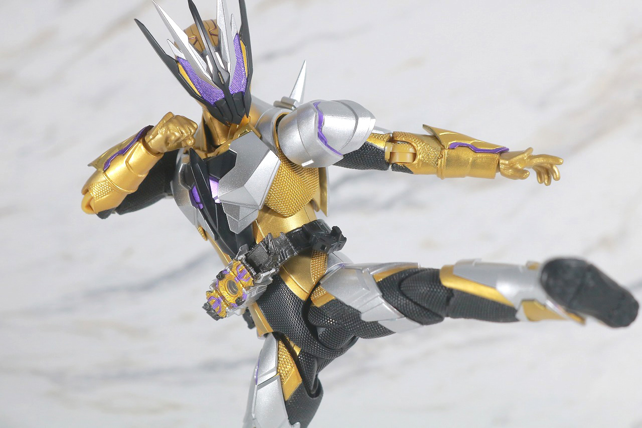 S.H.フィギュアーツ　仮面ライダーサウザー　レビュー　アクション