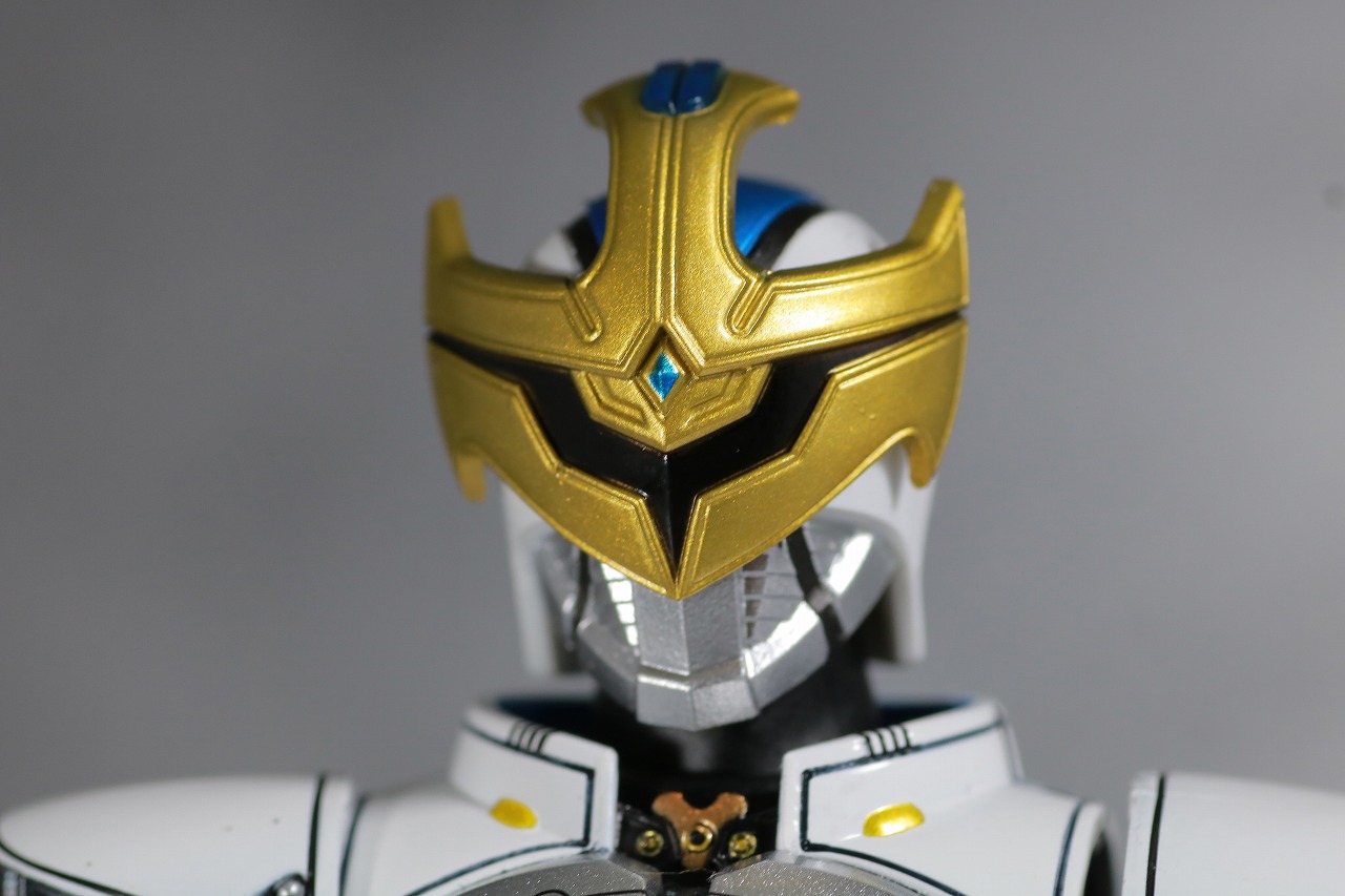 S.H.フィギュアーツ　仮面ライダーイクサ 真骨彫製法　レビュー　本体