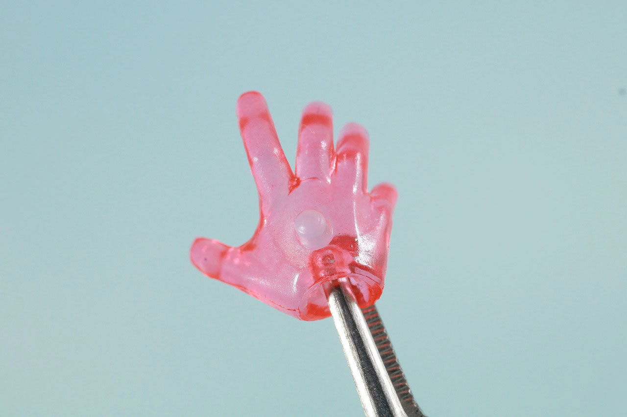 S.H.フィギュアーツ　ウルトラマンタイガ Special Clear Color Ver.　レビュー　付属品　手首