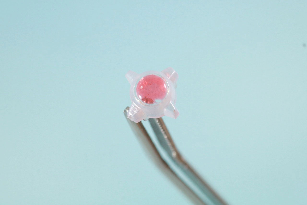 S.H.フィギュアーツ　ウルトラマンタイガ Special Clear Color Ver.　レビュー　付属品　カラータイマー