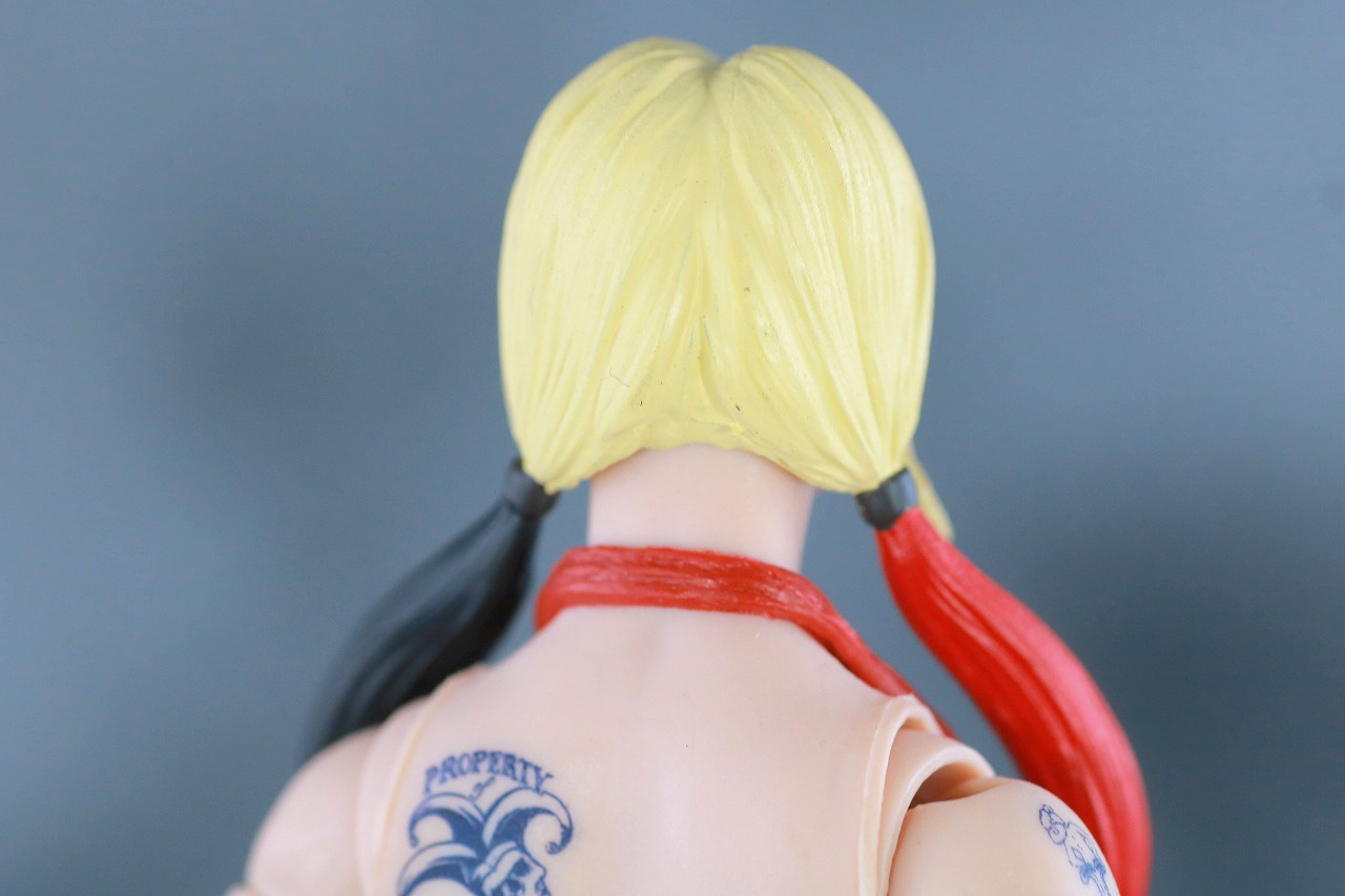 DCマルチバース　ハーレイ・クイン　ザ・スーサイド・スクワッド　レビュー　本体