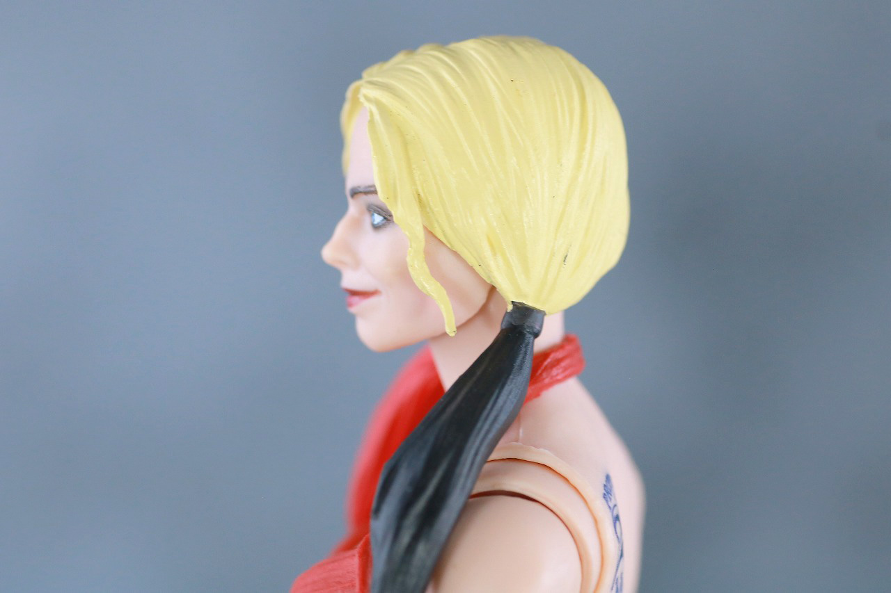 DCマルチバース　ハーレイ・クイン　ザ・スーサイド・スクワッド　レビュー　本体