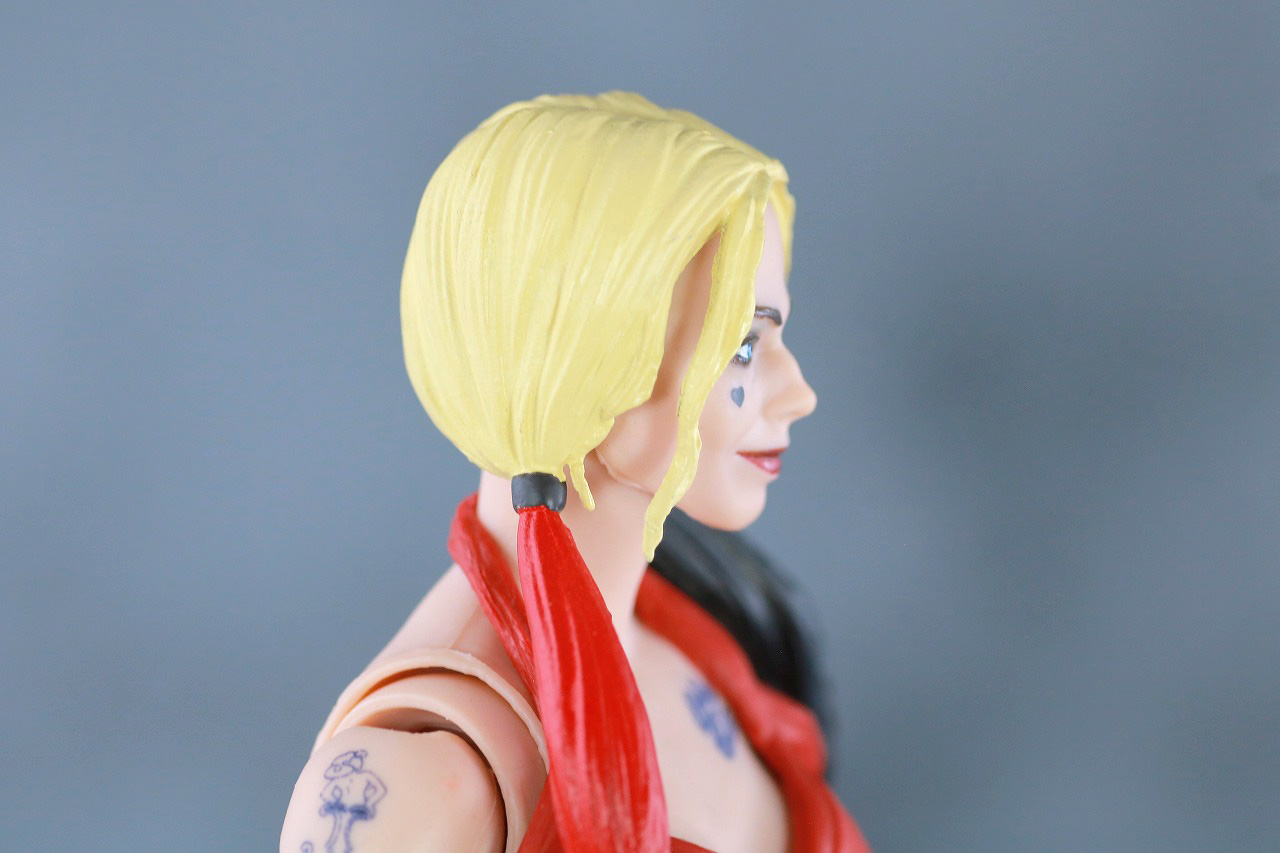 DCマルチバース　ハーレイ・クイン　ザ・スーサイド・スクワッド　レビュー　本体