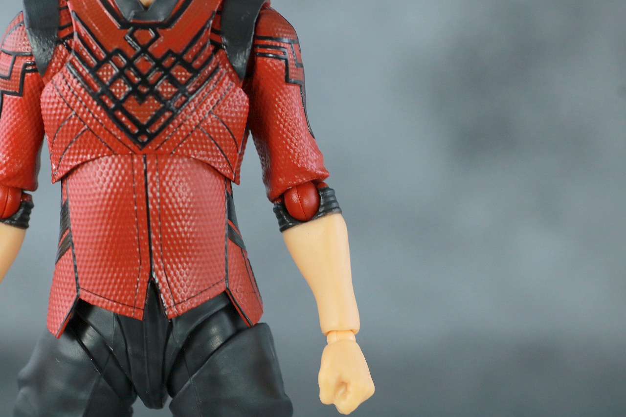 S.H.フィギュアーツ　シャン・チー　レビュー　本体