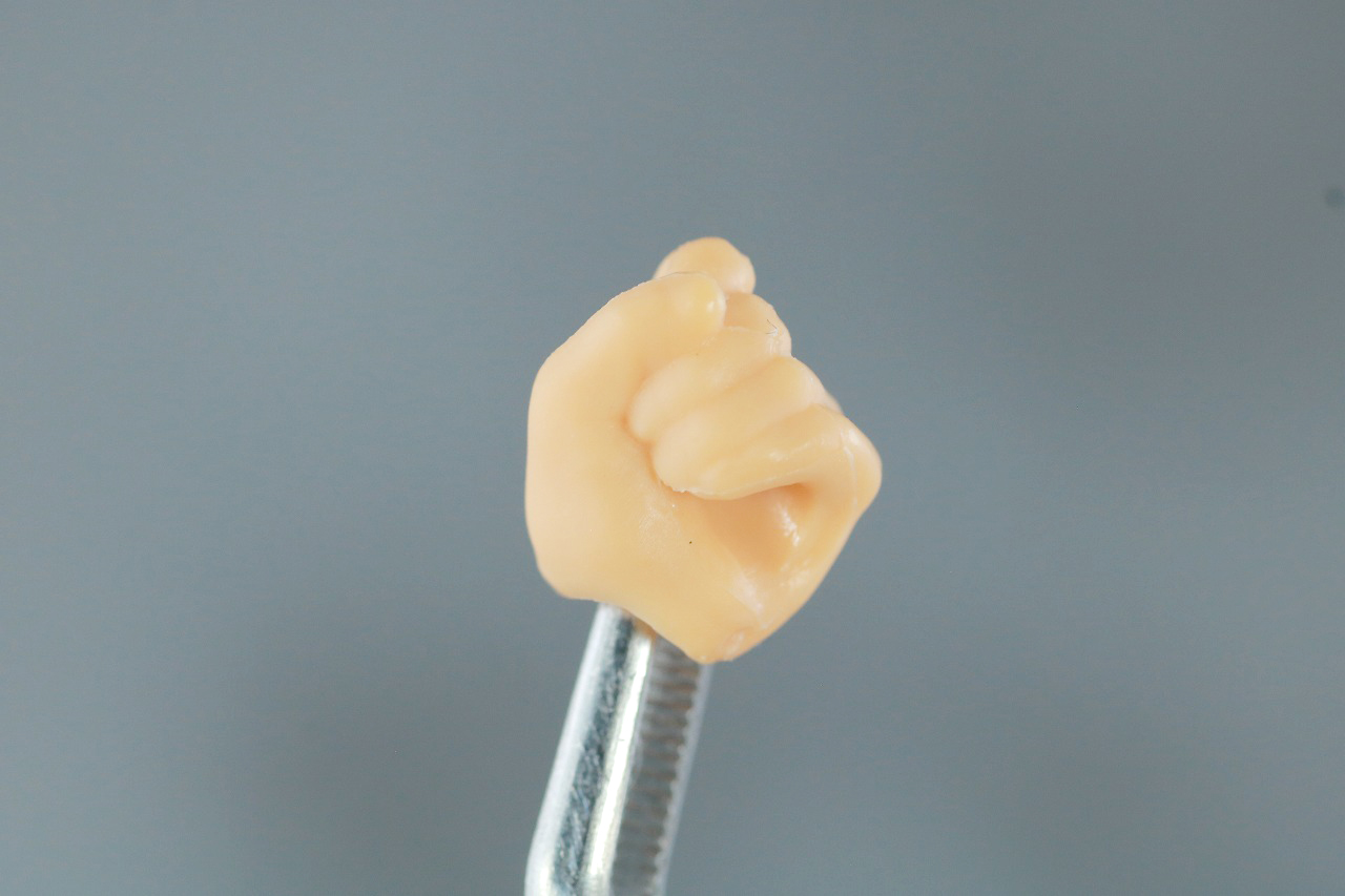 S.H.フィギュアーツ　シャン・チー　レビュー　付属品　手首