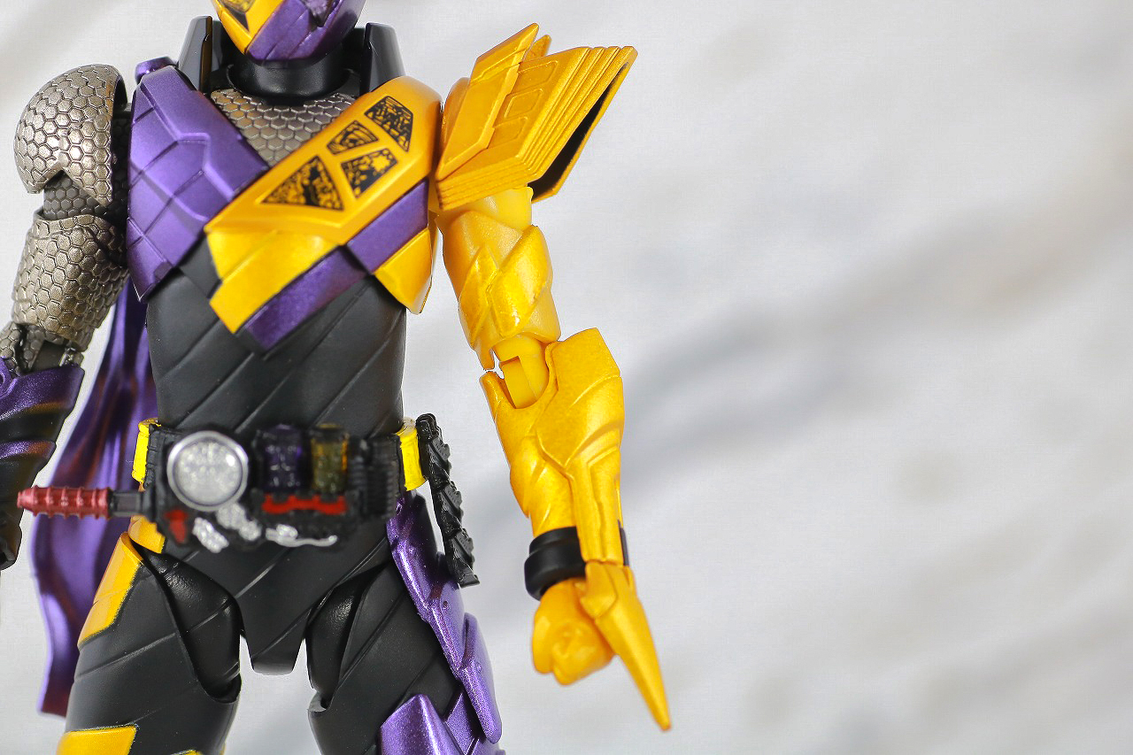 S.H.フィギュアーツ　仮面ライダービルド　ニンニンコミック　レビュー　本体