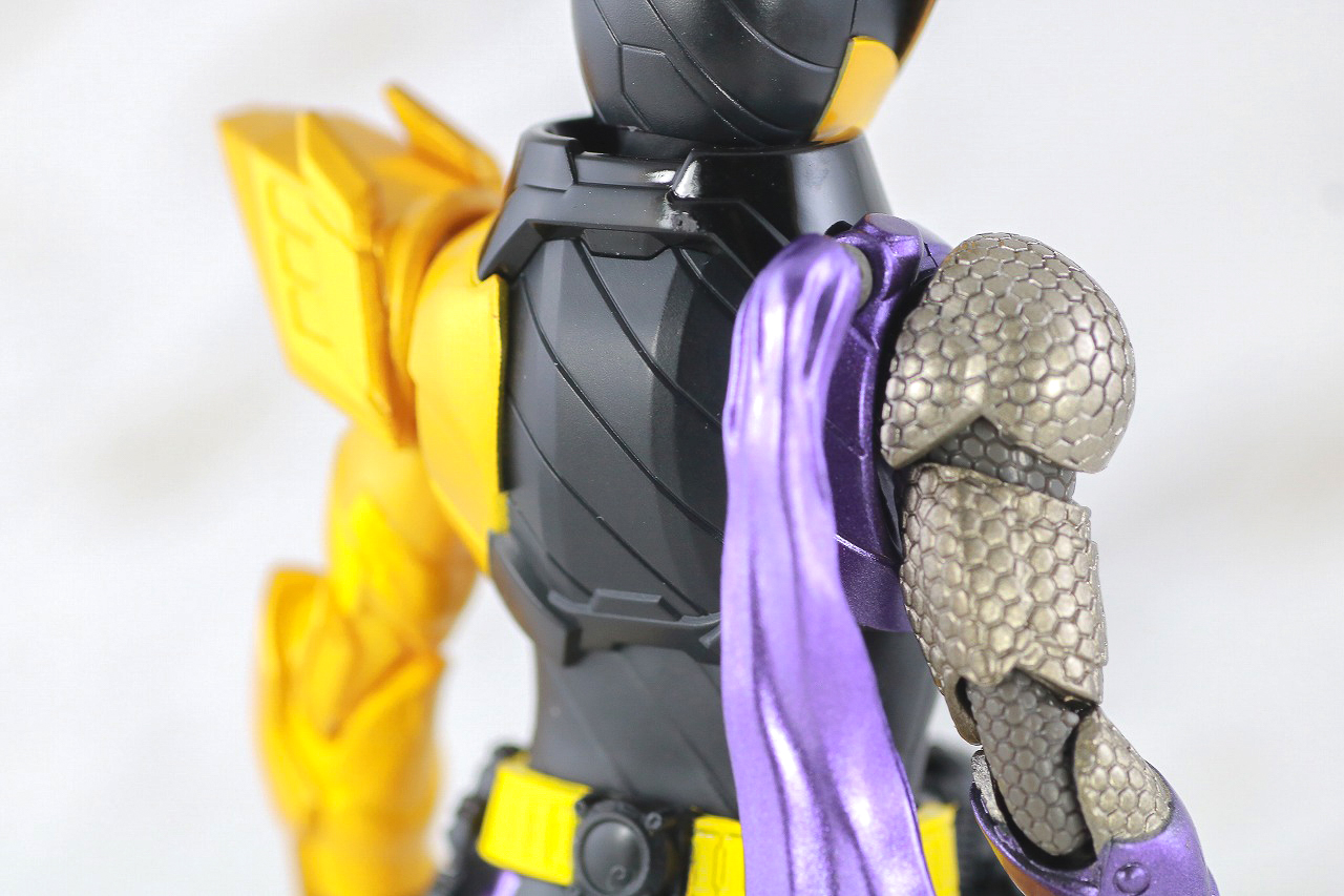 S.H.フィギュアーツ　仮面ライダービルド　ニンニンコミック　レビュー　本体