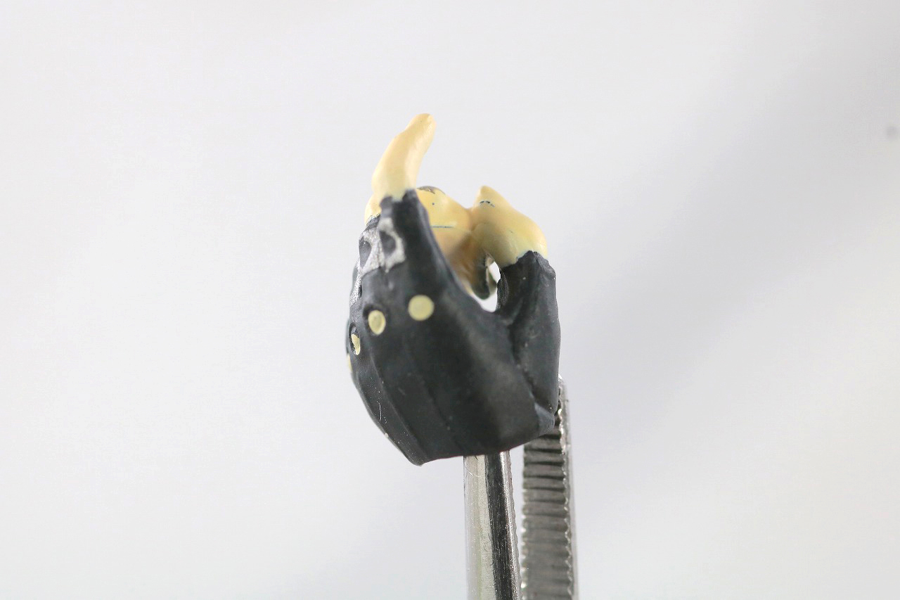 S.H.フィギュアーツ　ハーレイ・クイン　ザ・スーサイド・スクワッド　レビュー　付属品　手首