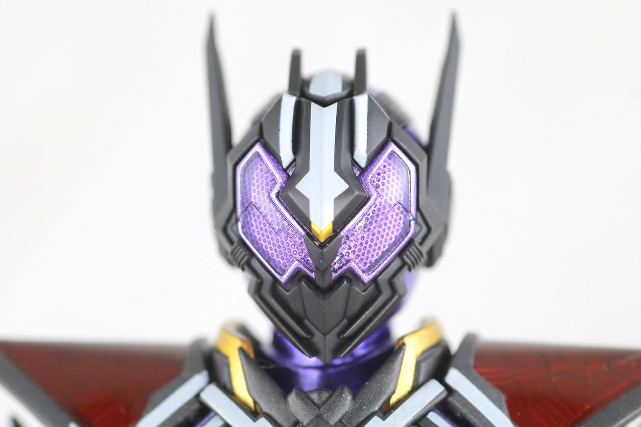 S.H.フィギュアーツ　仮面ライダー滅亡迅雷　レビュー　本体