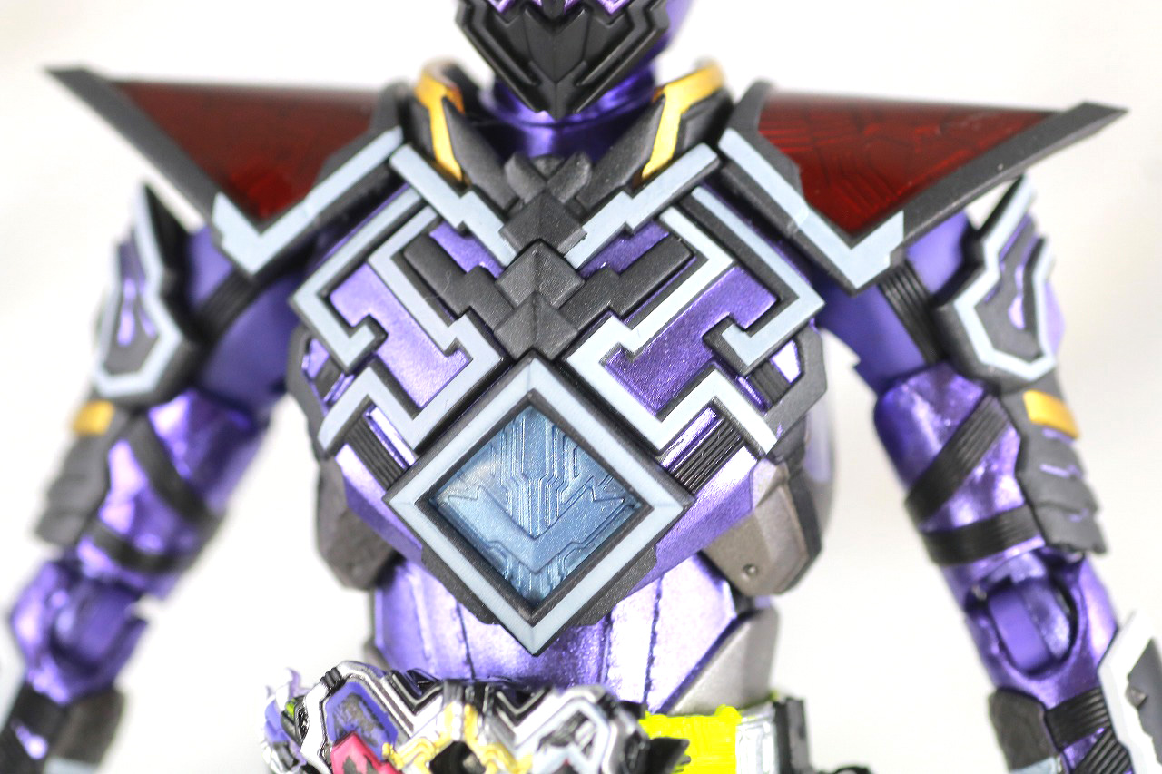 S.H.フィギュアーツ　仮面ライダー滅亡迅雷　レビュー　本体