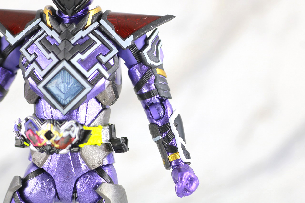 S.H.フィギュアーツ　仮面ライダー滅亡迅雷　レビュー　本体