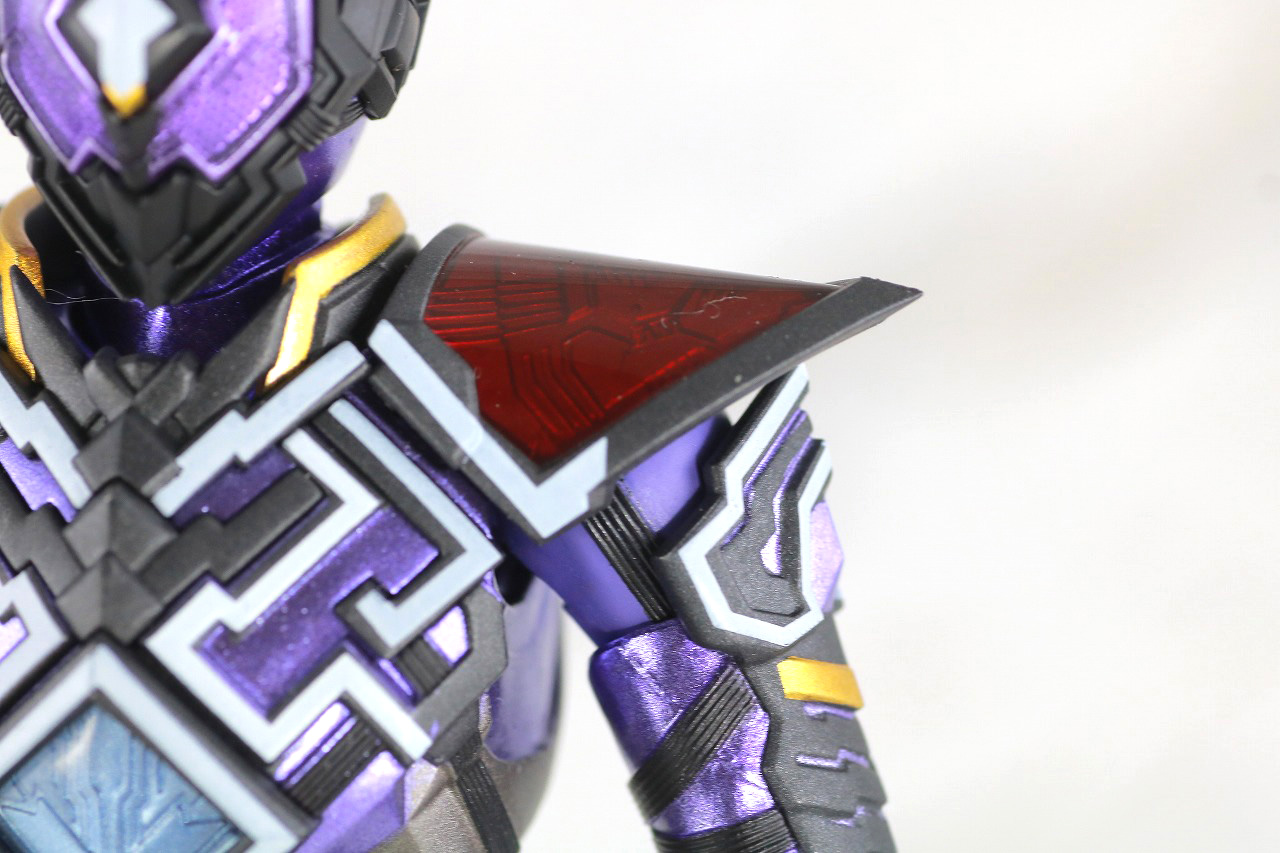 S.H.フィギュアーツ　仮面ライダー滅亡迅雷　レビュー　本体